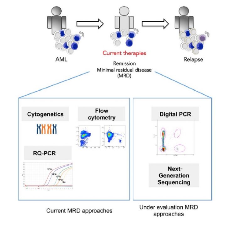 NGS rEvolution - Minimal Residual Disease Detection